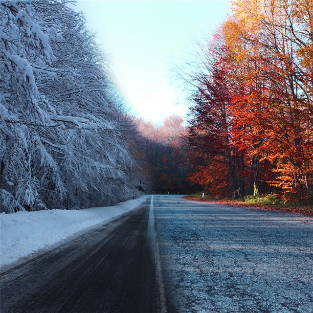 2732x2732 autumn vs winter 5k - winter iPad Pro Wallpaper