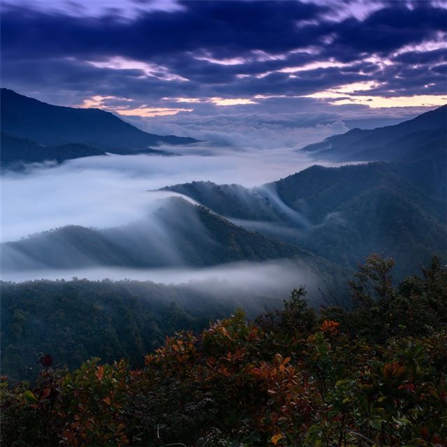 2732x2732 foggy clouds covering mountains 4k - fog iPad Pro Wallpaper