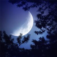 big moon dark night wallpaper
