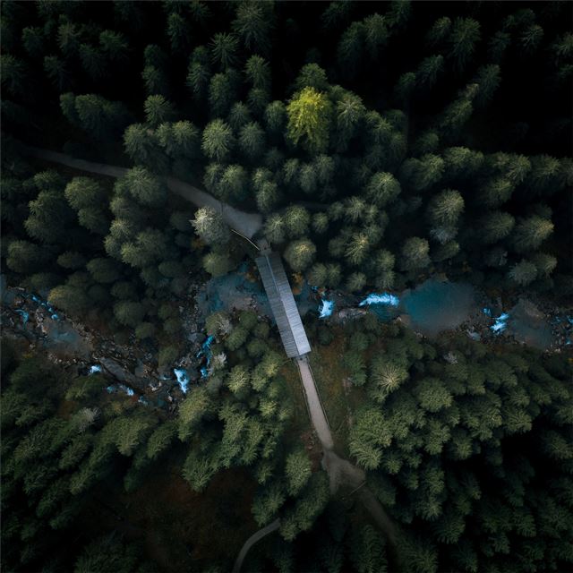 2732x2732 aerial view forest 4k -  iPad Pro Wallpaper