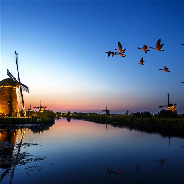 2732x2732 windmill birds flying evening lake 4k - birds iPad Pro Wallpaper