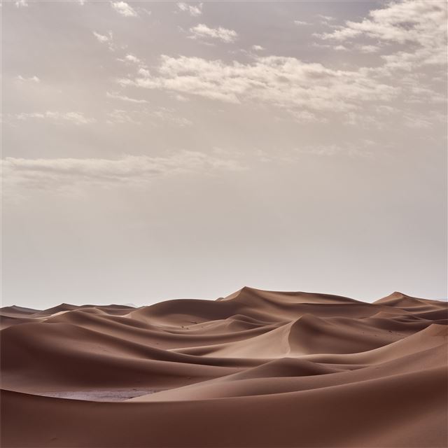 2732x2732 desert landscape morning 4k -  iPad Pro Wallpaper