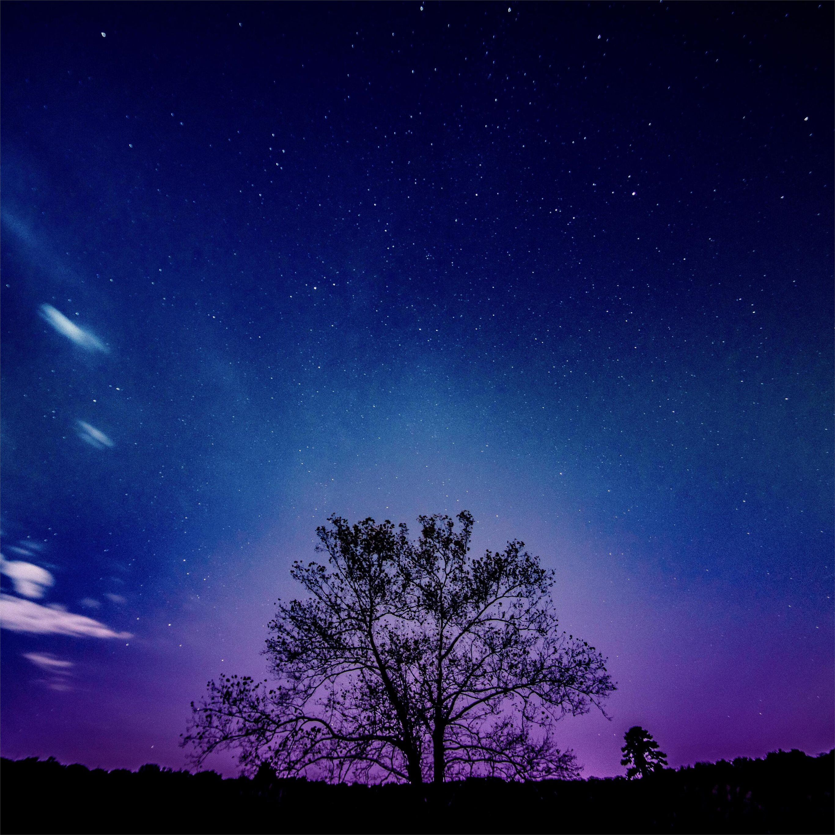 Với bức ảnh cây và dải ngân hà nổi bật trên bầu trời đầy sao, bạn sẽ thấy được sự kết hợp hoàn mỹ giữa thiên nhiên và không gian vũ trụ. Ánh sáng tàn trang trên chiếc lá cây tạo nên một không gian độc đáo và rất đẹp mắt. Hãy chiêm ngưỡng và cảm nhận vẻ đẹp của bức ảnh này.