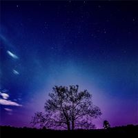 tree galaxy sky 8k wallpaper