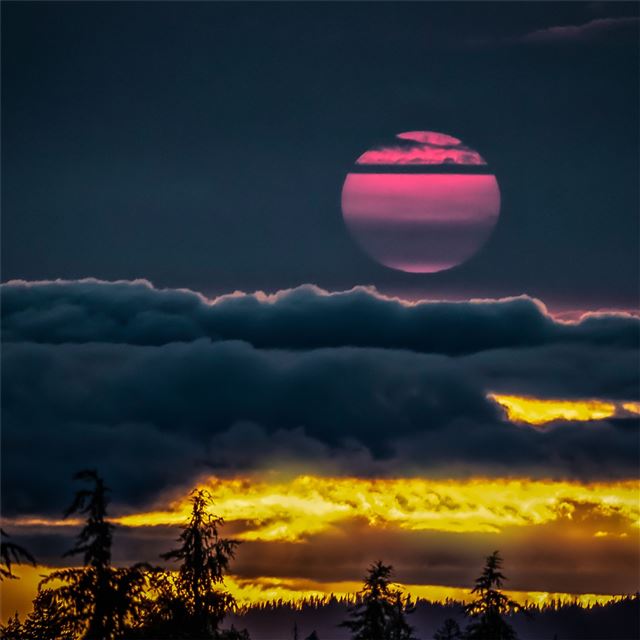 2732x2732 oregon yellow pink sunset 4k - sky iPad Pro Wallpaper