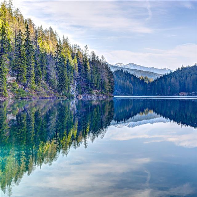 2732x2732 pine trees reflection 5k - trees iPad Pro Wallpaper