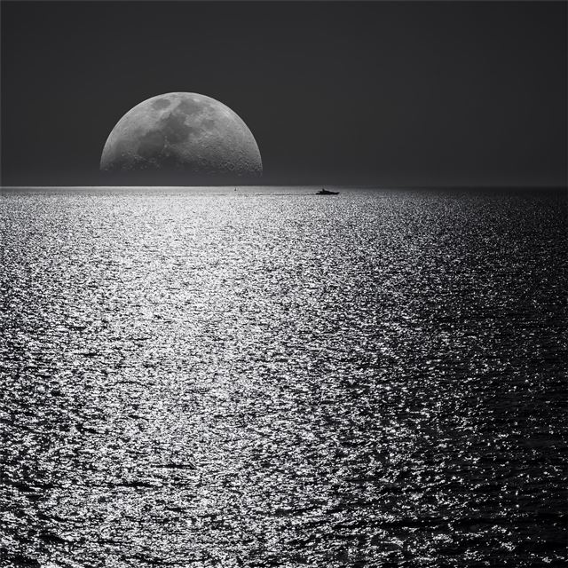 2732x2732 sunset monochrome 4k - dark (black) iPad Pro Wallpaper