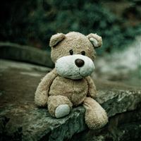 Soft Toy Teddy Bear wallpaper