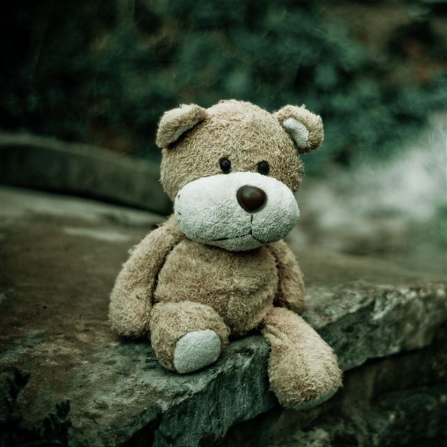 2732x2732 Soft Toy Teddy Bear -  iPad Pro Wallpaper