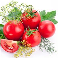Tomatoes Branch Ripe wallpaper