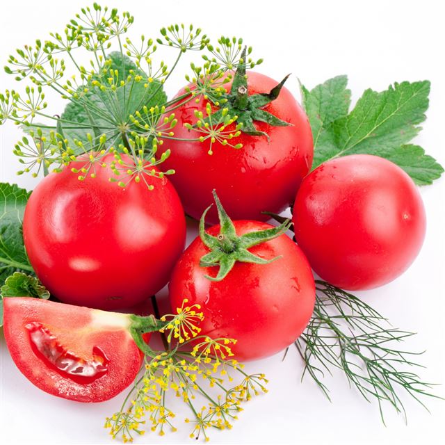 2732x2732 Tomatoes Branch Ripe -  iPad Pro Wallpaper
