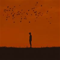 Man Silhouette Birds Hill Art iPad Pro wallpaper