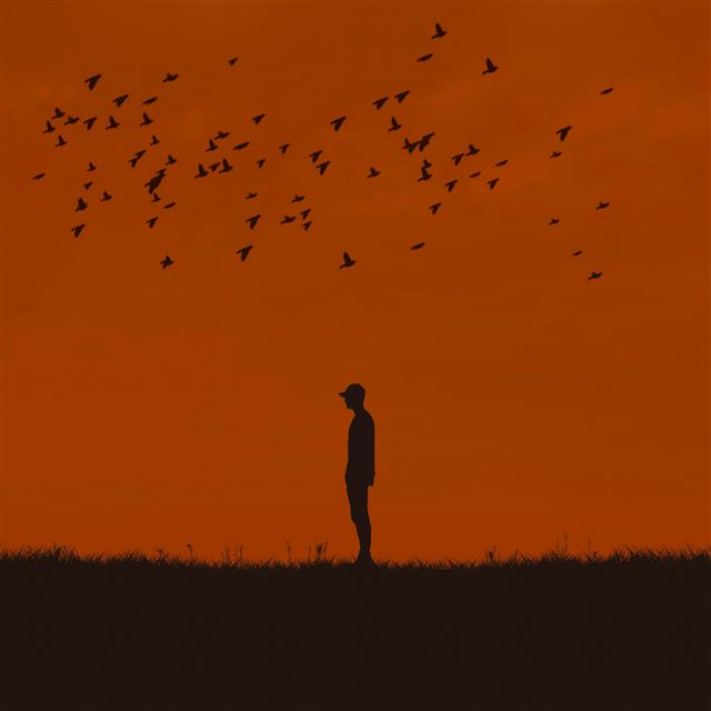 2732x2732 Man Silhouette Birds Hill Art -  iPad Pro Wallpaper