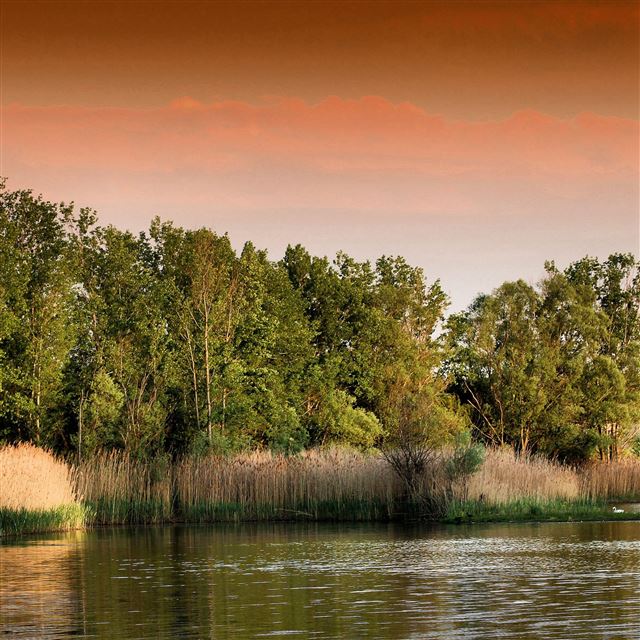 2732x2732 Sunset Lake Grass Trees - scenery iPad Pro Wallpaper