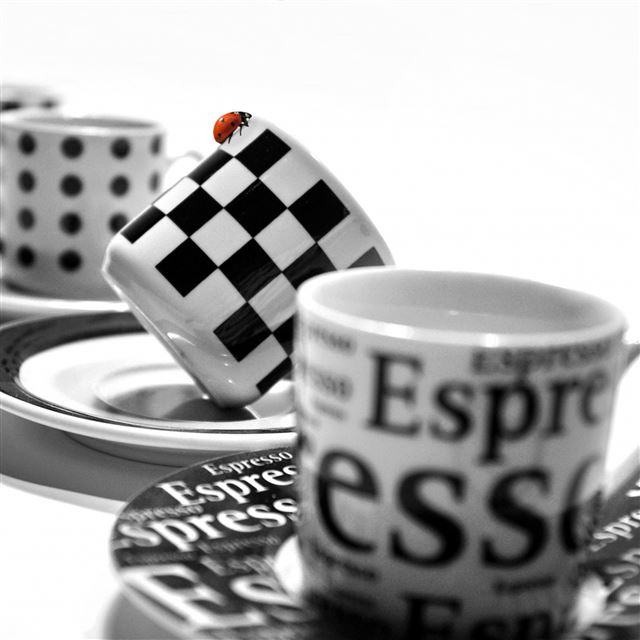 2732x2732 Cups Dishes Ladybug -  iPad Pro Wallpaper