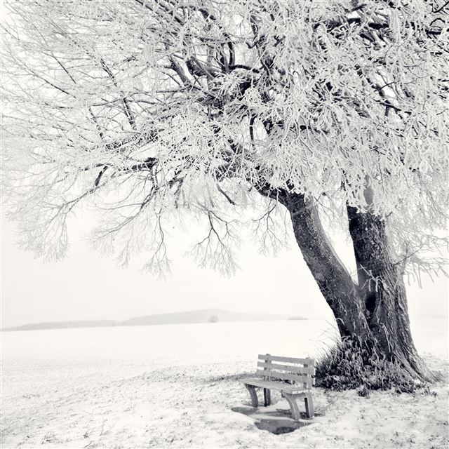 2732x2732 Winter snow - winter iPad Pro Wallpaper