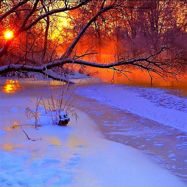 2732x2732 Winter sunset evening - winter iPad Pro Wallpaper