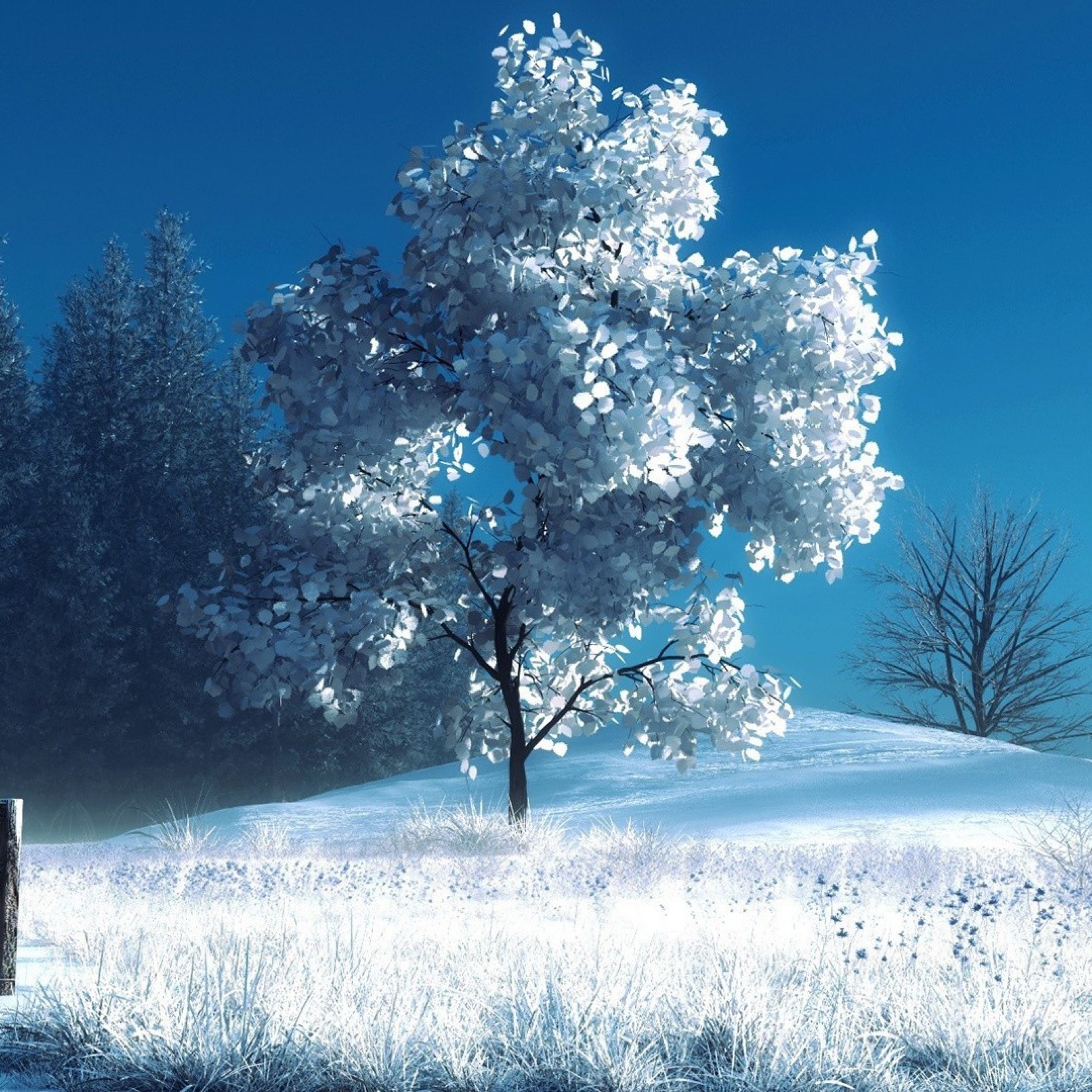 Winter landscape iPad Pro Wallpapers Free Download