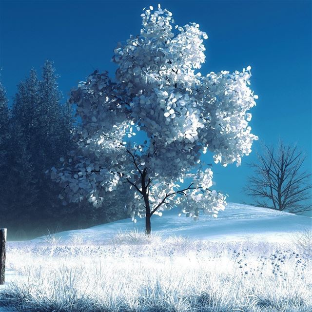 2732x2732 Winter landscape - landscape iPad Pro Wallpaper