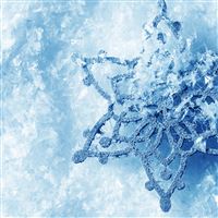 Snowflake macro wallpaper