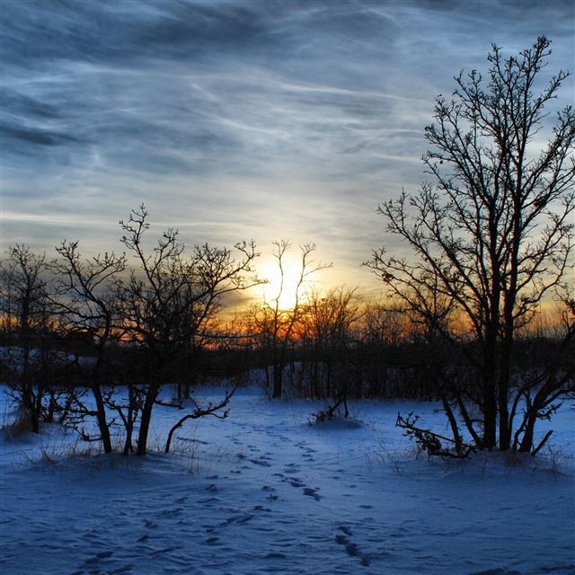 2732x2732 Winter snow  - winter iPad Pro Wallpaper