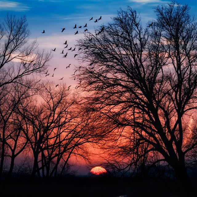 2732x2732 Beautiful sunrise -  iPad Pro Wallpaper
