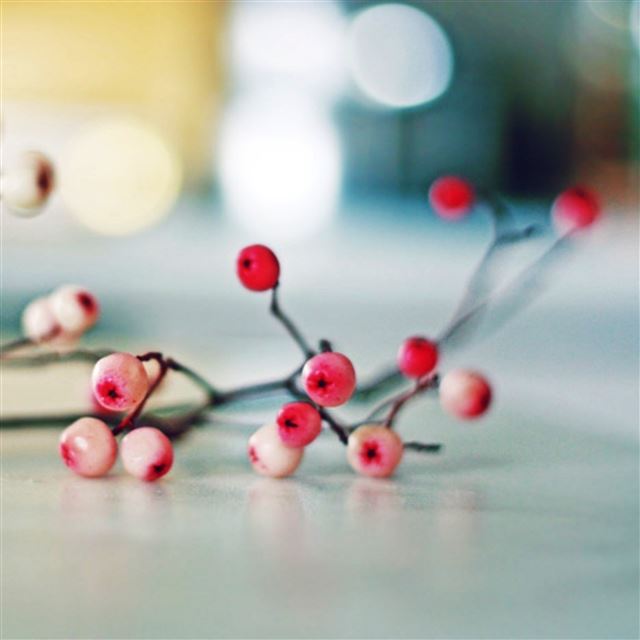 2732x2732 Branch berries table -  iPad Pro Wallpaper
