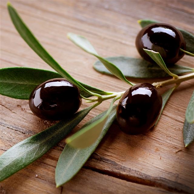 2732x2732 Olives branch table - purple iPad Pro Wallpaper