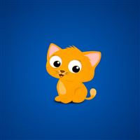 Cat kitten picture red blue iPad Pro wallpaper