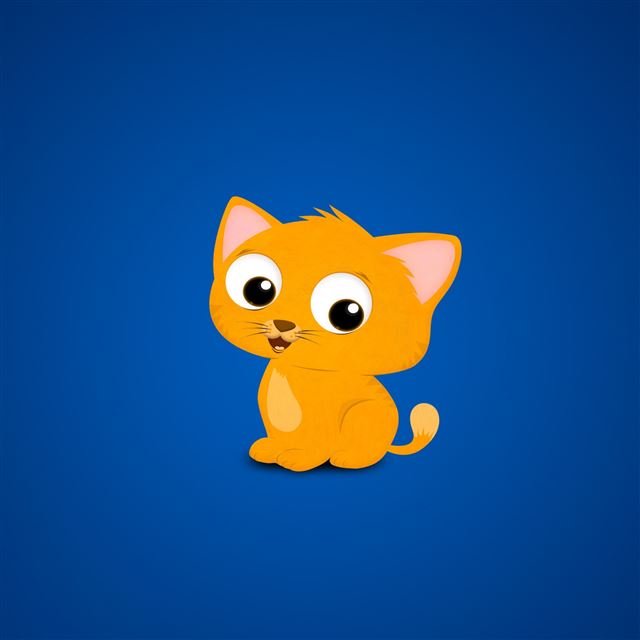 2732x2732 Cat kitten picture red blue -  iPad Pro Wallpaper