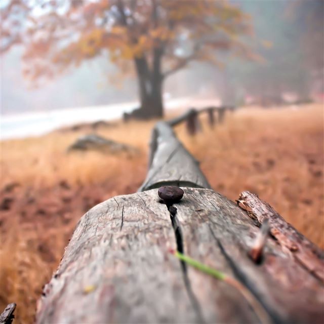 2732x2732 Background close up fence - gray iPad Pro Wallpaper