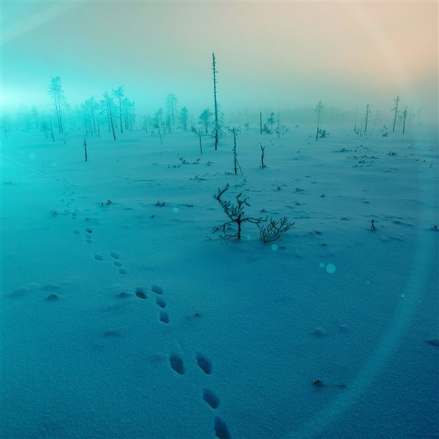 2732x2732 Snow walk winter blue footprints - gray iPad Pro Wallpaper