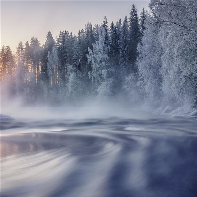 2732x2732 cold winter 5k - winter iPad Pro Wallpaper