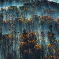 morning mist on the eastern shore of the chesapeak... wallpaper