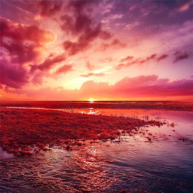 2732x2732 nature dream 4k -  iPad Pro Wallpaper