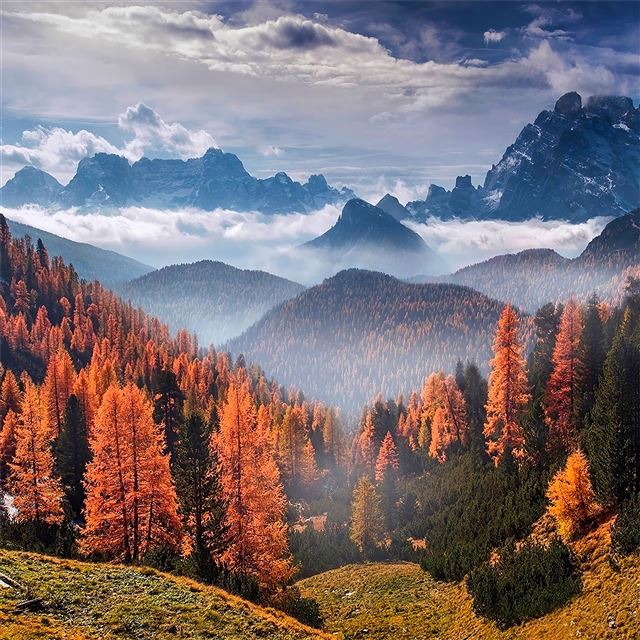 2732x2732 forest landscape clouds 4k -  iPad Pro Wallpaper
