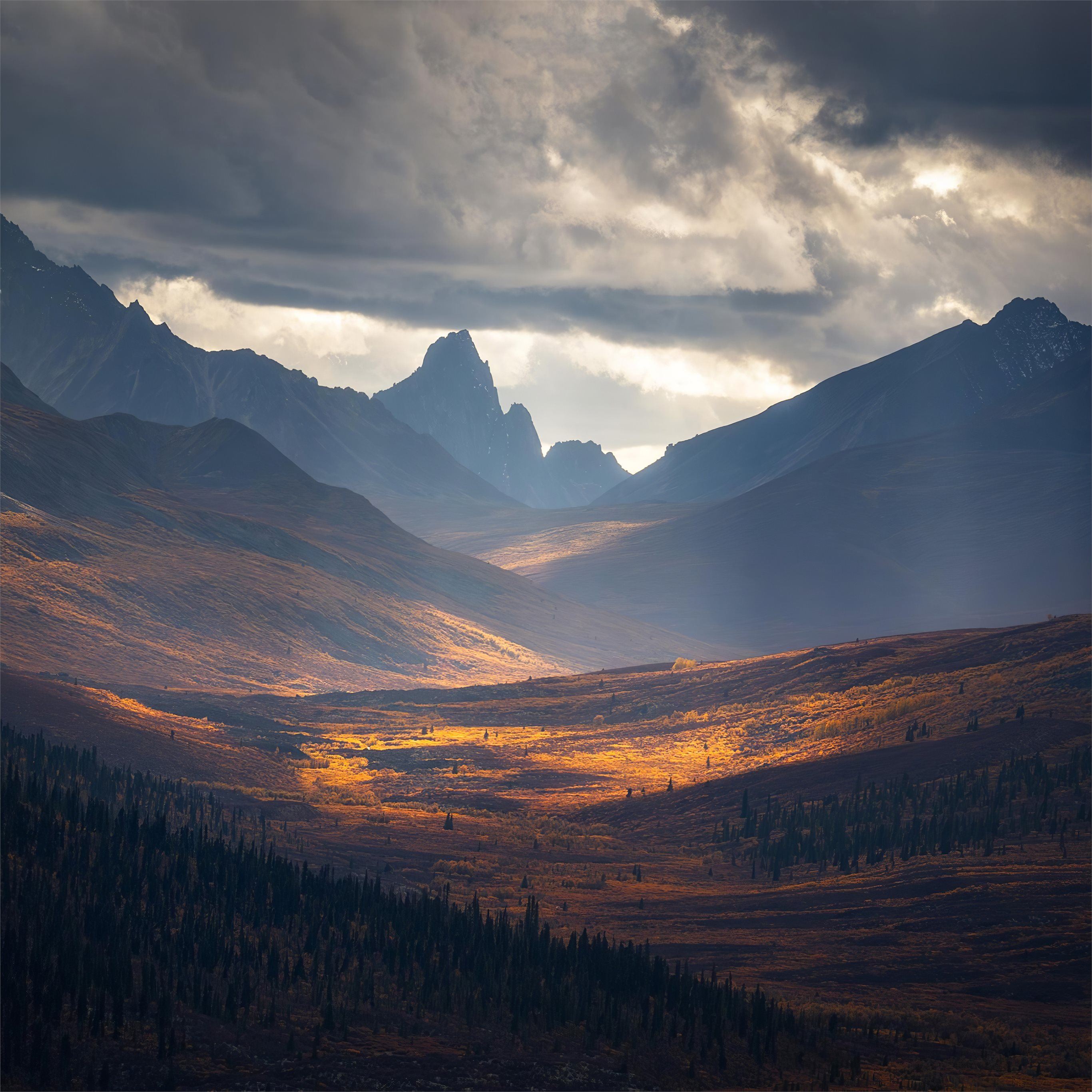 Foggy Mountains Forest Landscape iPad wallpaper  Forest landscape Foggy  mountains Landscape