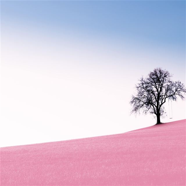 2732x2732 tree pink desert 10k - desert iPad Pro Wallpaper