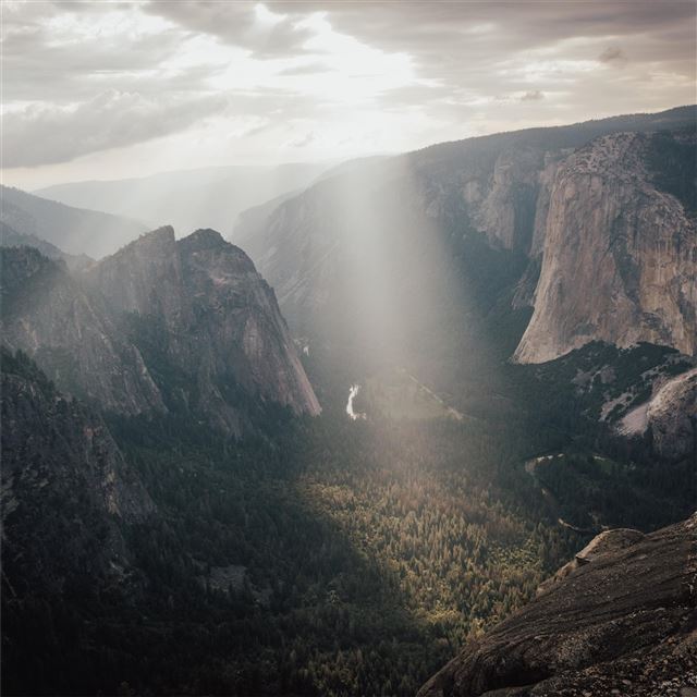 2732x2732 yosemite valley green grass field 8k -  iPad Pro Wallpaper