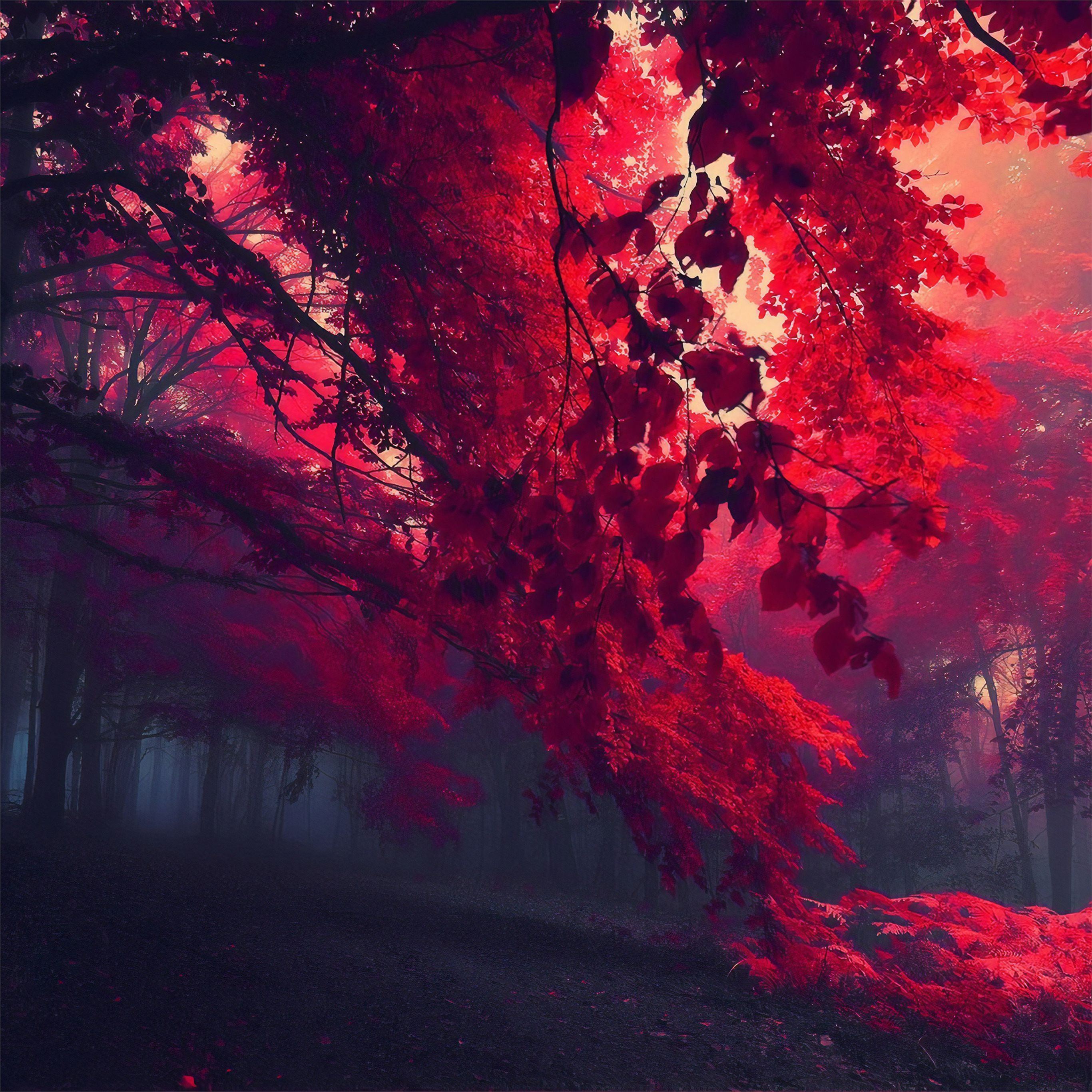 Dark Red Autumn Forest Ipad Pro Wallpapers Free Download