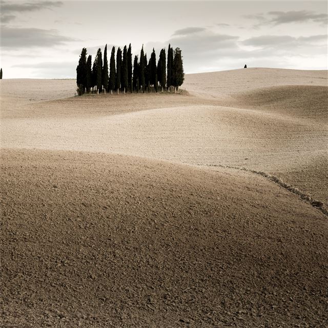 2732x2732 desert landscape 5k - landscape iPad Pro Wallpaper