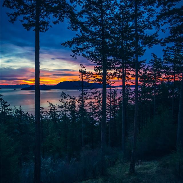 2732x2732 dawn time 4k - 4k iPad Pro Wallpaper