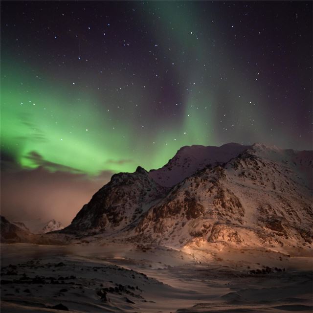 2732x2732 northern lights lofoten norway 5k - 4k iPad Pro Wallpaper