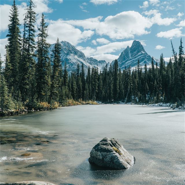 2732x2732 frozen lake covered in trees forest 5k - lake iPad Pro Wallpaper