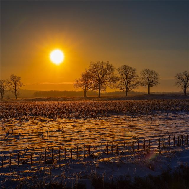 2732x2732 farm field sun beams 5k - field iPad Pro Wallpaper