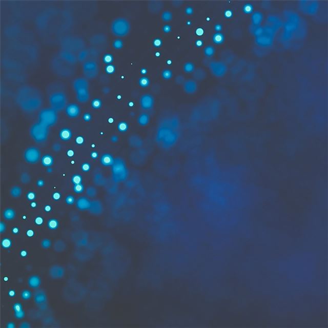 2732x2732 fractals abstract art 4k - behance iPad Pro Wallpaper