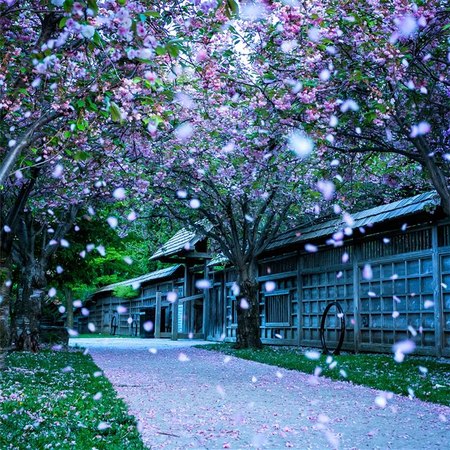 2732x2732 kariya park 4k -  iPad Pro Wallpaper
