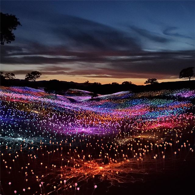 2732x2732 field of light at sensorio paso robles valley -  iPad Pro Wallpaper