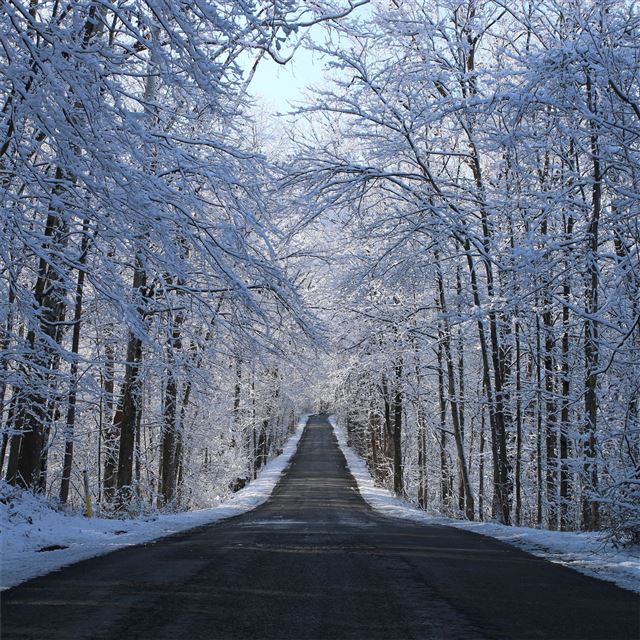 2732x2732 winter road way 5k - winter iPad Pro Wallpaper