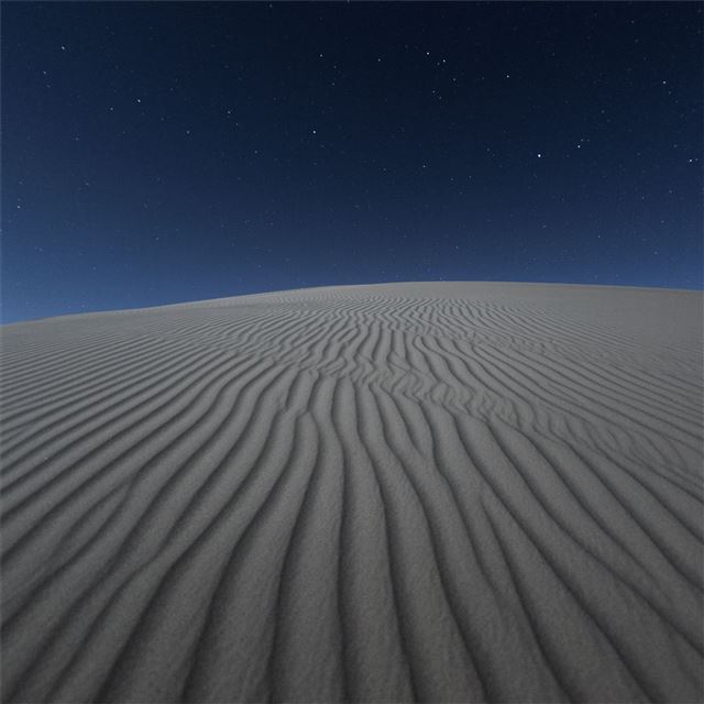 2732x2732 dark desert night 5k -  iPad Pro Wallpaper